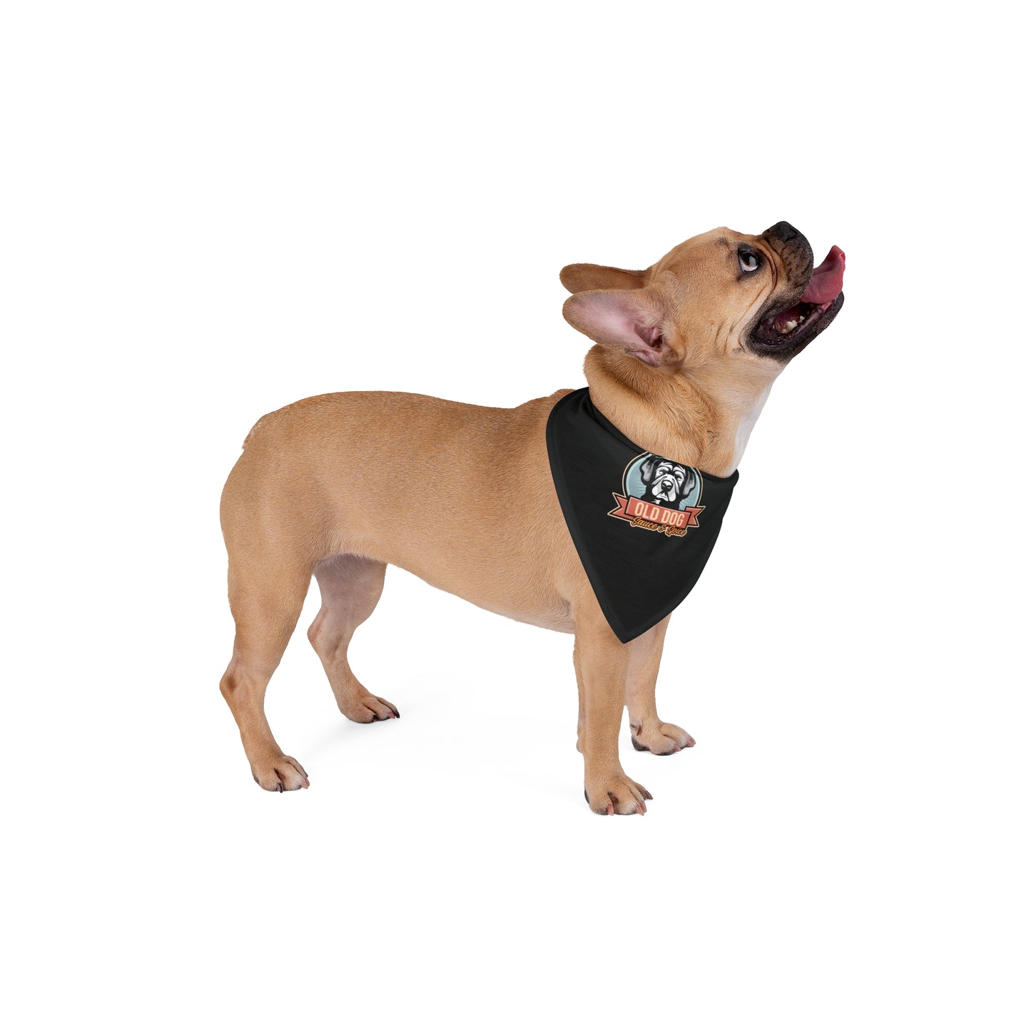 Pet Bandana